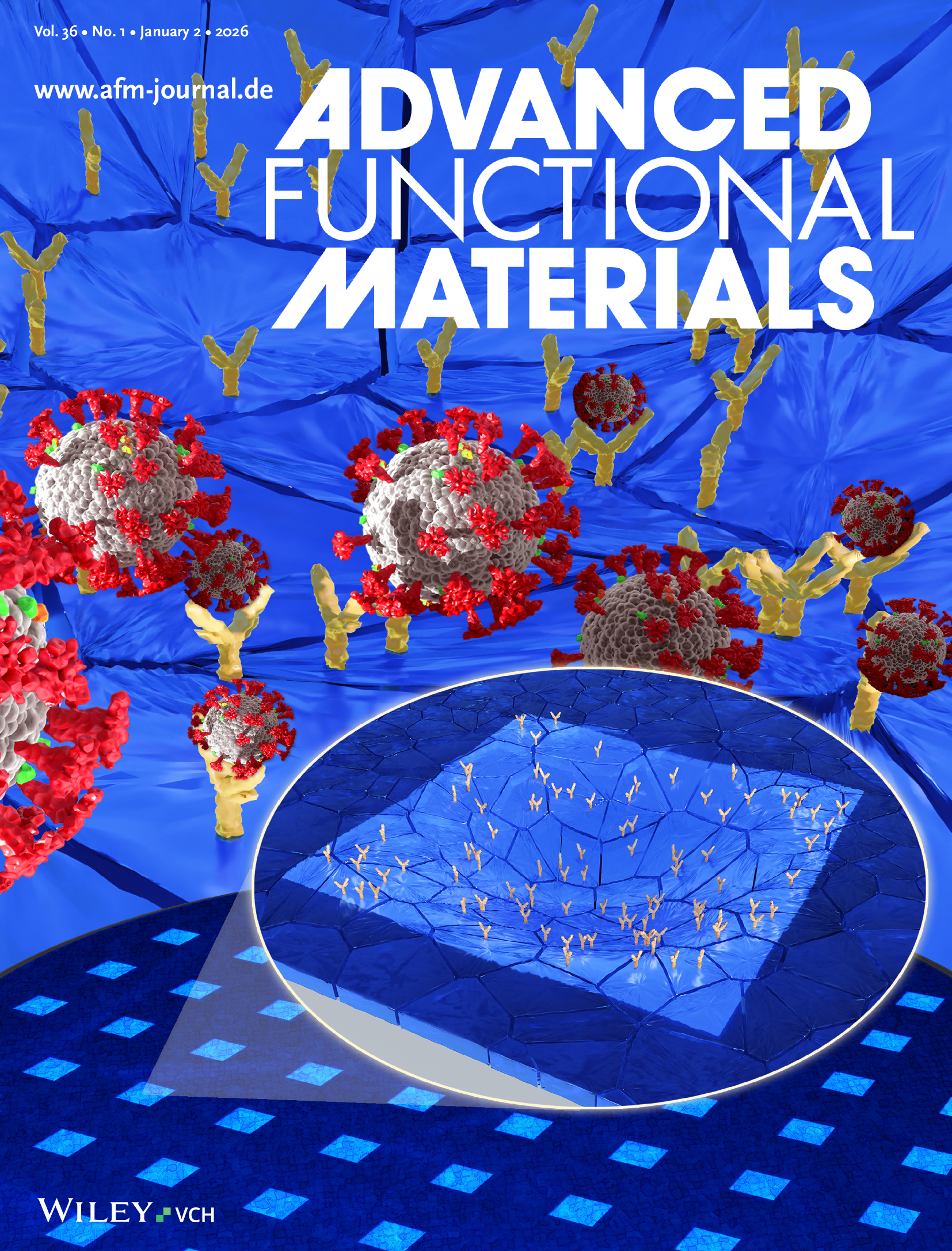 New cover picture of the team in Advanced Functional Materials journal ...