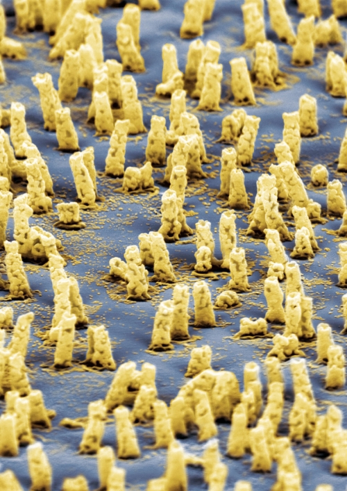(LA,SR)MNO3 NANORODS FROM TRACK-ETCHED POLYMERS DIRECTLY BUFFERING SUBSTRATES