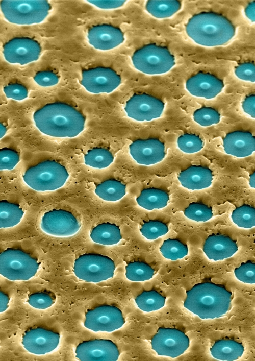 WATER-INDUCED PHASE SEPARATION FORMING MACROSTRUCTURED EPITAXIAL QUARTZ FILMS ON SILICON