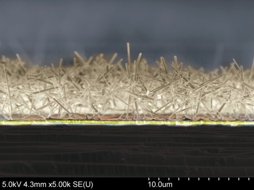 DIRECT MONOLITHIC INTEGRATION OF VERTICAL SINGLE CRYSTALLINE OCTAHEDRAL MOLECULAR SIEVE NANOWIRES ON SILICON