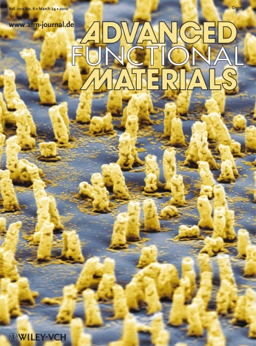AFM_cover_v20_n6_2010