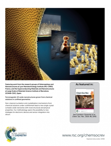 Chem. Soc. Rev. cover_43_2014