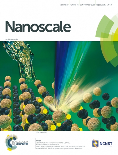 Nanoscale_cover_v10_n43_2018