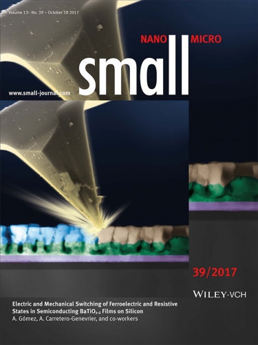 Small_cover_v13_n39_2017